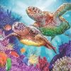 Turtle Family Paint By Numbers