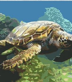 Turtle Swimming Paint By Numbers