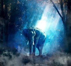 Twilight Elephant Paint By Numbers