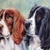 Twin Dogs Paint By Numbers