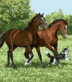 Two Horses and Dog Paint By Numbers