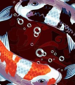 Two Koi Fish Paint By Numbers