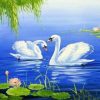 Two Lovely Swans Paint By Numbers