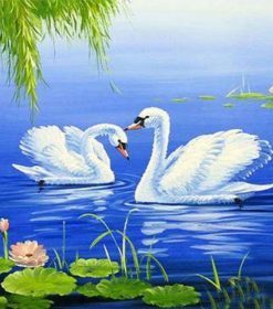 Two Lovely Swans Paint By Numbers