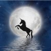 Unicorn Full Moon Paint By Numbers