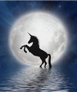 Unicorn Full Moon Paint By Numbers