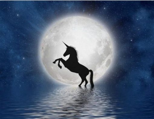 Unicorn Full Moon Paint By Numbers