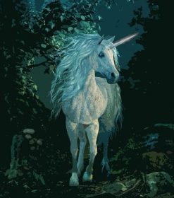 Unicorn In Dark Forest Paint By Numbers