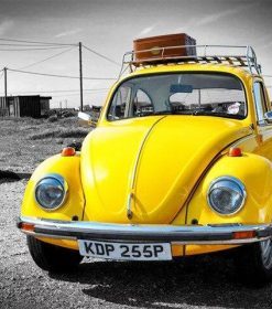 Volkswagen Beetle Paint By Numbers