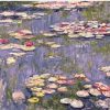 Water Lilies Monet Paint By Numbers