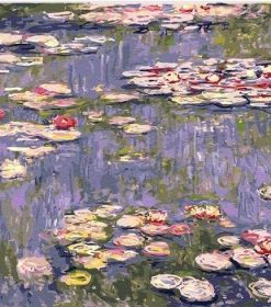 Water Lilies Monet Paint By Numbers