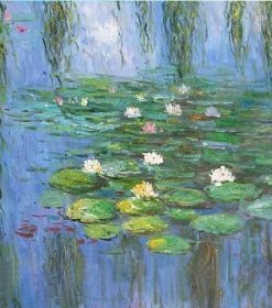 Water Lily Monet Paint By Numbers