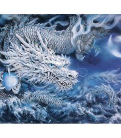 White Chinese Dragon Paint By Numbers