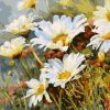 White Daisies Flowers Paint By Numbers