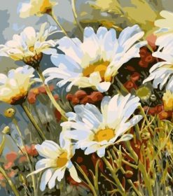 White Daisies Flowers Paint By Numbers