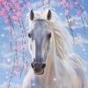 White Horse with Flowers Paint By Numbers