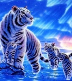 White Night Tiger Paint By Numbers