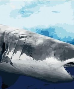 White Shark Paint By Numbers