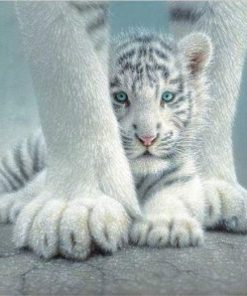 White Tiger Paint By Numbers