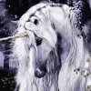 White Unicorn Horse Paint By Numbers