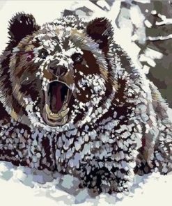 Wild Bear Paint By Numbers