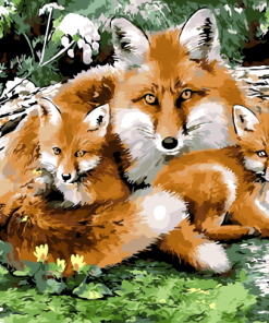 Wild Fox Family Paint By Numbers