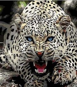 Wild Jaguar Paint By Numbers