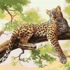 Wild Leopard Paint By Numbers