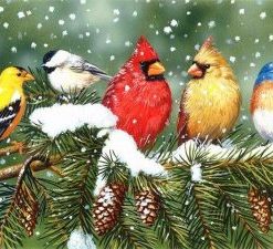 Winter Bird Paint By Numbers