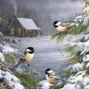 Winter Birds In Snow Paint By Numbers