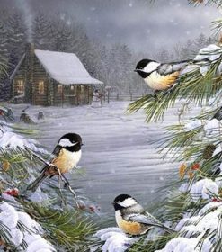 Winter Birds In Snow Paint By Numbers