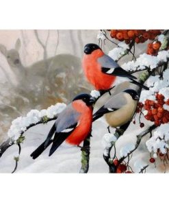 Winter Three Birds Paint By Numbers