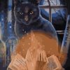 Witch Cat with Book Paint By Numbers