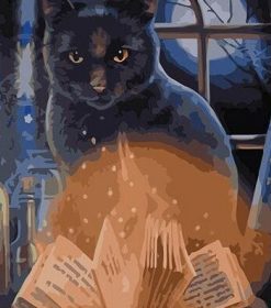 Witch Cat with Book Paint By Numbers