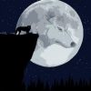 Wolf In The Moon Paint By Numbers