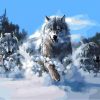 Wolf Pack Paint By Numbers