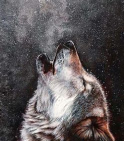 Wolf Spirit Paint By Numbers