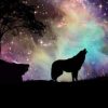 Wolf With Northern Lights Paint By Numbers