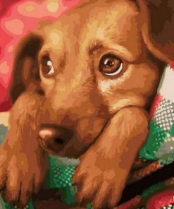 Xmas Dog Paint By Numbers