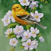 Yellow Bird Paint By Numbers