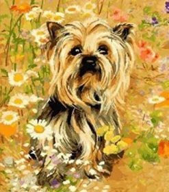 Yorkshire Dog Paint By Numbers