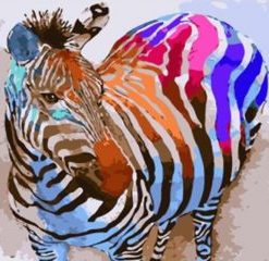 Zebra Animals Paint By Numbers