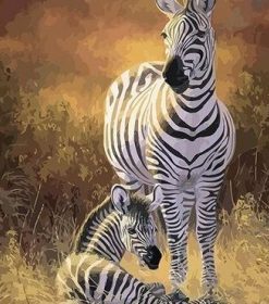 Zebra In Savanna Paint By Numbers