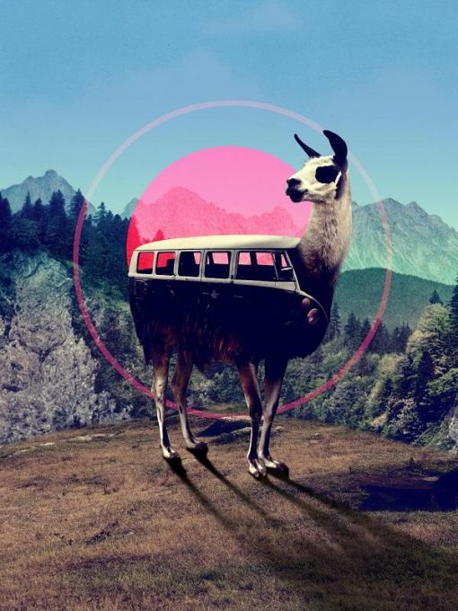 llama Car Paint By Numbers