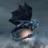 Black Dragon Paint By Numbers