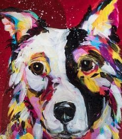 Border Collie Dog Paint By Numbers