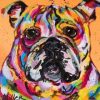 Bulldog Ben Dog Paint By Numbers