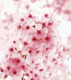 Cherry Blossoms Paint By Numbers