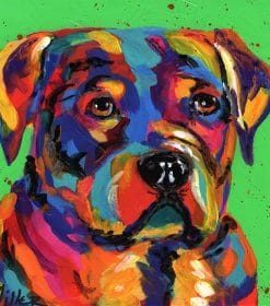 Colorful Dog Boxer Paint By Numbers