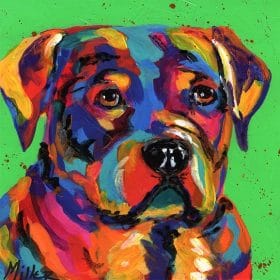 Colorful Dog Boxer Paint By Numbers